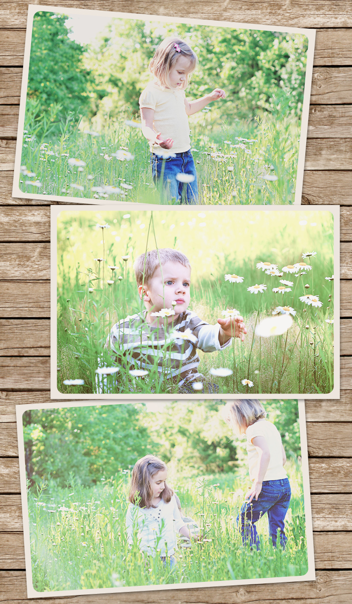 3-up-framed-landscape-bkgd